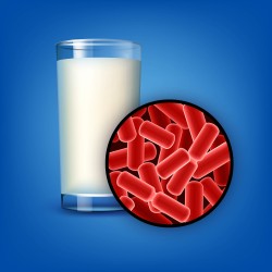Микроорганизмы в производстве молочных продуктов: ключевые виды и их функции