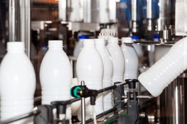Развитие пищевой и молочной промышленности в современной России