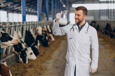 Условия получения качественного молока от коров в России