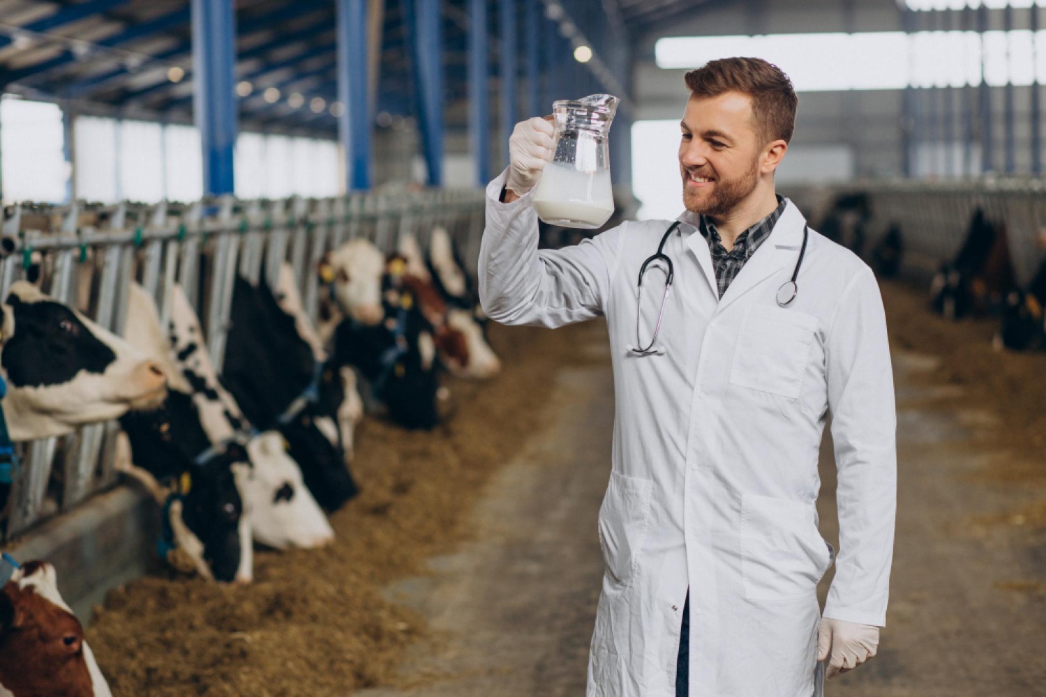 В данной статье мы рассмотрим особенности получения молока от коров в России и как эти условия влияют на его состав.