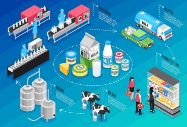 Условия транспортировки и хранения молока: как сохранить качество продукта