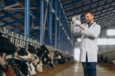 Актинизация молока: Принцип работы, оборудование и преимущества