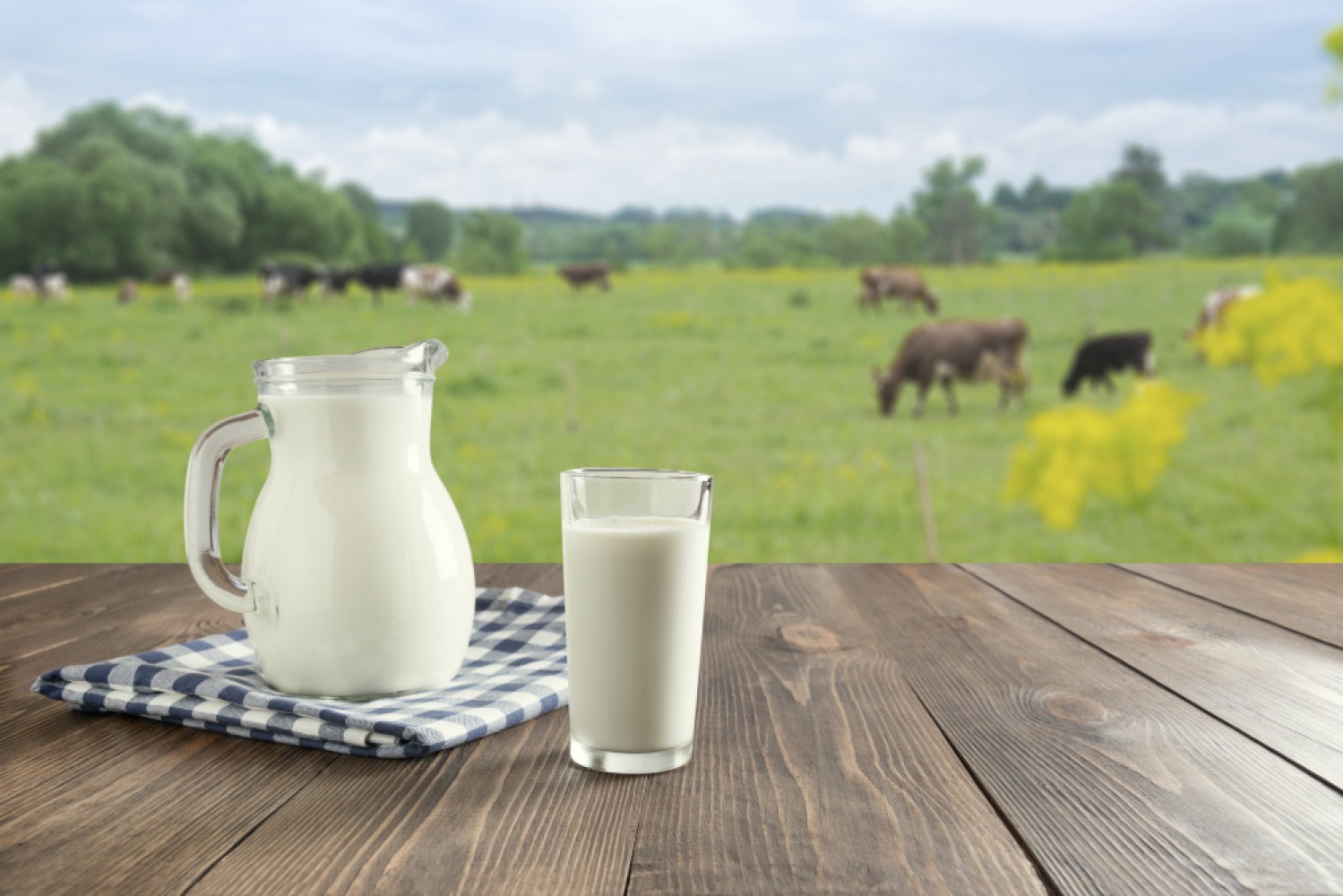 Подробный анализ технологического процесса производства молока на промышленном уровне. Рассмотрение основных этапов, методик, используемого оборудования, а также важности контроля качества в этой отрасли.