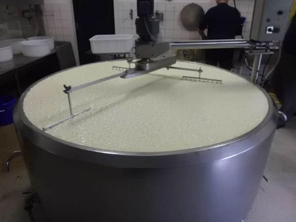 Мини сырная фабрика 500 – 3000 л/день